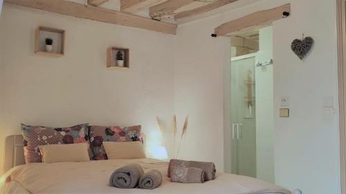 Blois City - Le Petit Saint Jean في بلوا: غرفة نوم مع سرير ودش زجاجي
