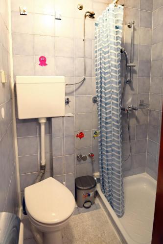 a bathroom with a toilet and a shower at Parenzana mirni kotiček STAR - Parenzana Haven Hideaway STAR in Izola