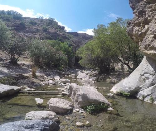 un fiume con rocce e alberi in un canyon di Albergue La Paz de Las Alpujarras a Padules