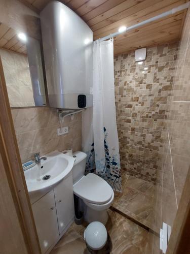 a small bathroom with a toilet and a sink at Pasakų pirtelė in Vilnius