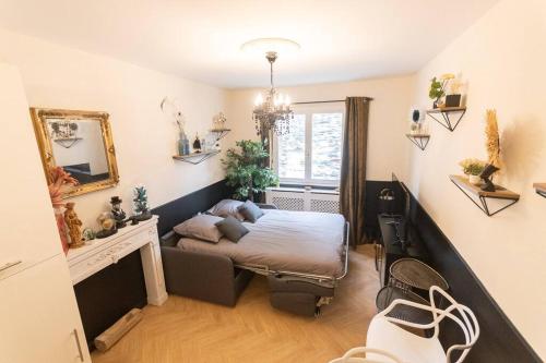 - une chambre avec un lit, une cheminée et une fenêtre dans l'établissement Le Cabinet de Curiosité - La Bonne Marienne, à Angers