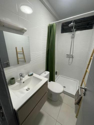 a bathroom with a sink and a toilet and a shower at L’écrin de Jade in Rémire-Camp