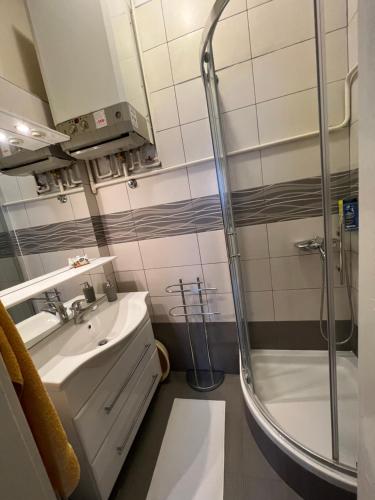 a bathroom with a shower and a sink at Apartment Croatia in Zagreb