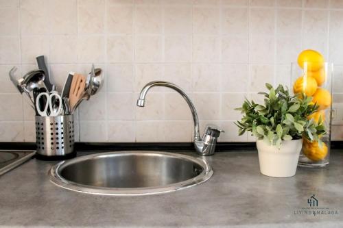 a stainless steel sink in a kitchen with a plant at Living4malaga Spring Boutique in Málaga