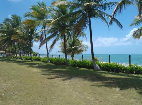 una fila de palmeras en la playa en Casa de Praia em condomínio, en Vera Cruz de Itaparica