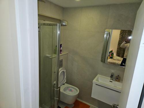 a bathroom with a shower and a toilet and a sink at London Glamour Apartments in London