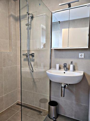 Lions Place Premium Apartments COMFORT optionaler Zugang zum SPA- Bereich tesisinde bir banyo