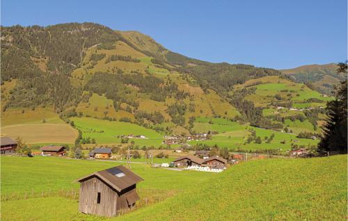 an old barn in a green field with a mountain at Amazing Apartment In Rauris With 1 Bedrooms in Rauris