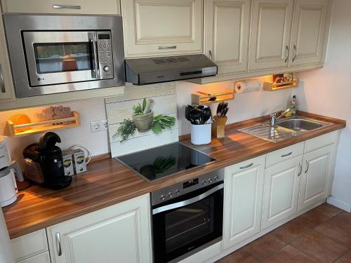 a kitchen with a sink and a microwave at Deichhof Whg 23 in Dunsum