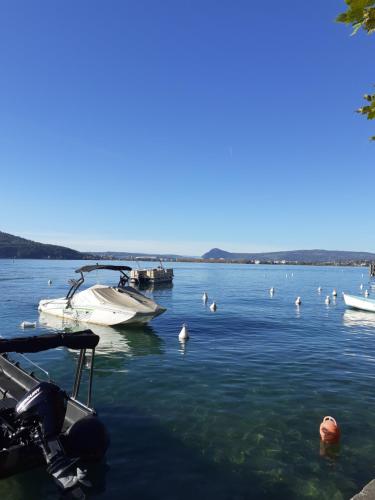 a group of swans and boats in the water at Charmant chalet 8p calme et vue sur montagnes in Verchères
