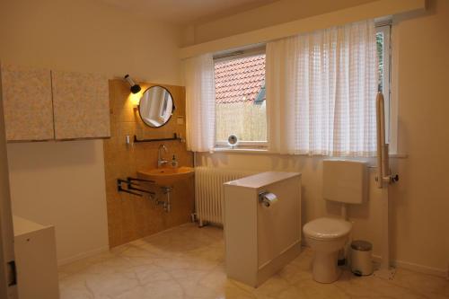 ein Badezimmer mit einem WC, einem Waschbecken und einem Spiegel in der Unterkunft Malerhaus Einbeck in Einbeck