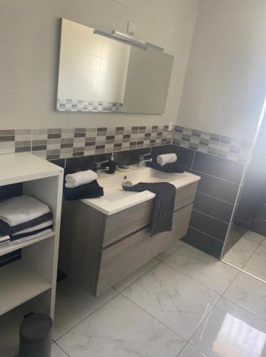 une salle de bain avec un lavabo et un miroir dans l'établissement Casa Ramysozo, à Saint-Barthélemy-le-Plain