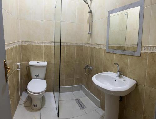 ein Bad mit einem WC, einem Waschbecken und einer Dusche in der Unterkunft PALM BEACH HOTEL free ticket for pedal boat تذكرة مجانية للالعاب البحرية in Aqaba