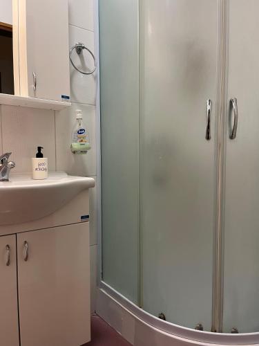 a bathroom with a shower and a sink at Kristina NS in Novi Sad