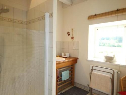 ein Bad mit einer Dusche, einem Waschbecken und einem Fenster in der Unterkunft Gîte Saint-Régis-du-Coin, 3 pièces, 4 personnes - FR-1-496-268 in Saint-Régis-du-Coin