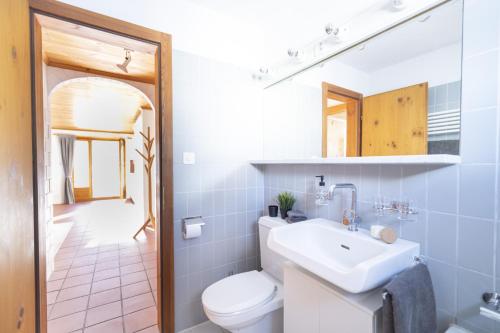 La salle de bains est pourvue de toilettes blanches et d'un lavabo. dans l'établissement Chasa Fabulusa, à Scuol