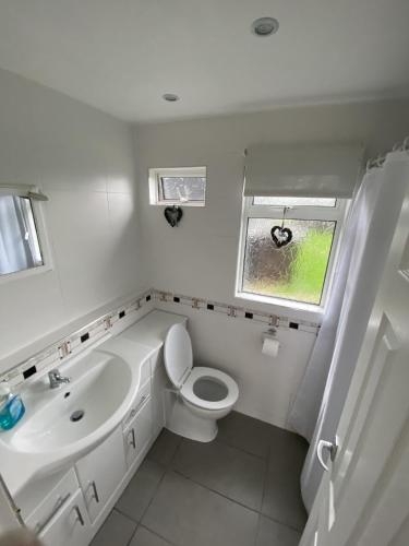 a bathroom with a sink and a toilet and a window at Granada, 2 bedroom chalet with onsite pool and bar in Selsey