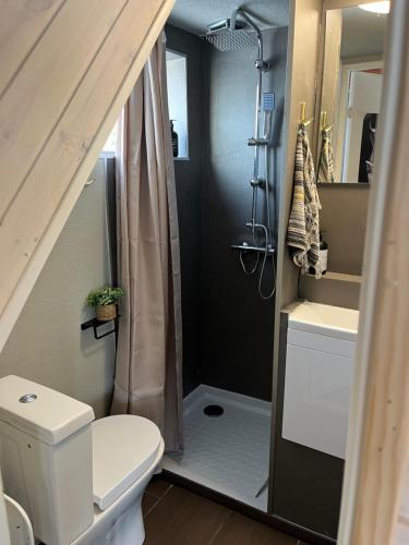 La petite salle de bains est pourvue d'une douche et de toilettes. dans l'établissement Cottage with Seaview, à Holbæk