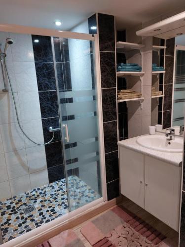 a bathroom with a shower and a sink at Gite en pleine verdure au coeur du village in Lapoutroie