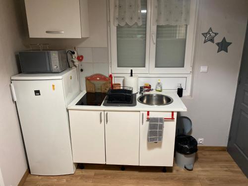 een kleine keuken met een wastafel en een koelkast bij Sympathique logement en rez-de-chaussé, de 21m 2 in Beauvais