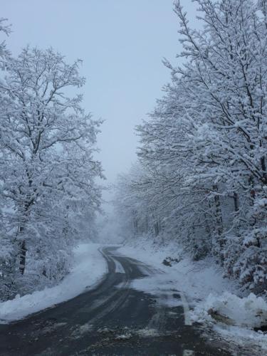 a snow covered road with trees on either side at Tolasudolsa Rooms, Breakfast & Mountain Bike in Compiano