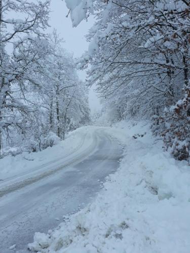 a snow covered road with trees on either side at Tolasudolsa Rooms, Breakfast & Mountain Bike in Compiano