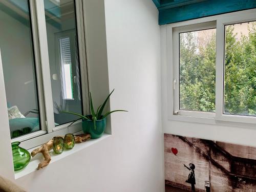 une chambre avec deux fenêtres et une plante sur une étagère dans l'établissement CHALET BTZ, à Biarritz