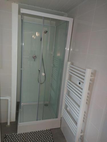 a shower in a bathroom with a glass shower stall at studio au calme wifi 600m centre ville in Castres
