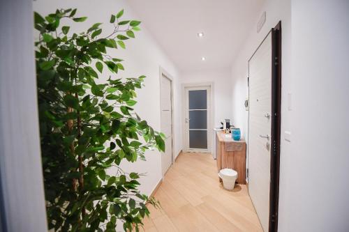 a hallway with a potted plant in a room at Wojtyla Bari Airport in Bari Palese