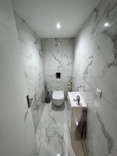 uma casa de banho branca com um WC e um lavatório em Appartement proche marche de Noël de Strasbourg em Wolfisheim