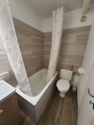 une salle de bain avec une baignoire, des toilettes et un lavabo dans l'établissement Joli T2 au pied des pistes, parking couvert, wifi, à La Mongie