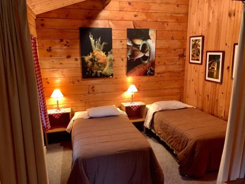 two beds in a room with wooden walls at Vipilodge in Janvrin Island