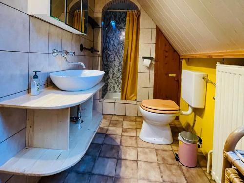 a bathroom with a sink and a toilet at Ferienwohnung Sonnleiten in Puchberg am Schneeberg