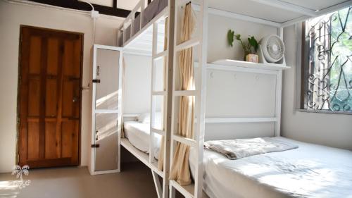 a room with two bunk beds and a window at CoCoCo in Ko Phayam