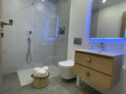 a bathroom with a shower and a toilet and a sink at Luxury Top Floor Apartment with terrace - Beaulieu Sur Mer in Beaulieu-sur-Mer