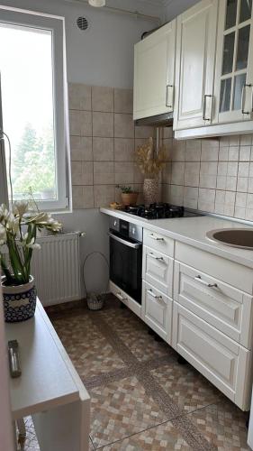 La cuisine est équipée de placards blancs, d'un évier et d'une cuisinière. dans l'établissement RomExpo Studio, à Bucarest