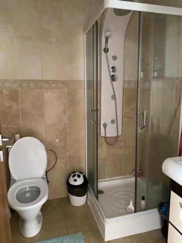La salle de bains est pourvue d'une douche, de toilettes et d'un lavabo. dans l'établissement RomExpo Studio, à Bucarest