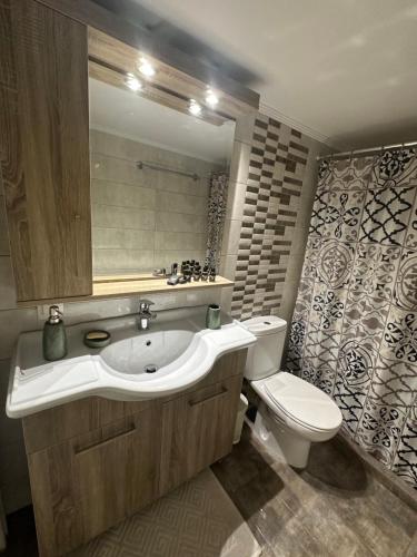 ein Badezimmer mit einem Waschbecken, einem WC und einem Spiegel in der Unterkunft Mairas Ηouse in Piräus
