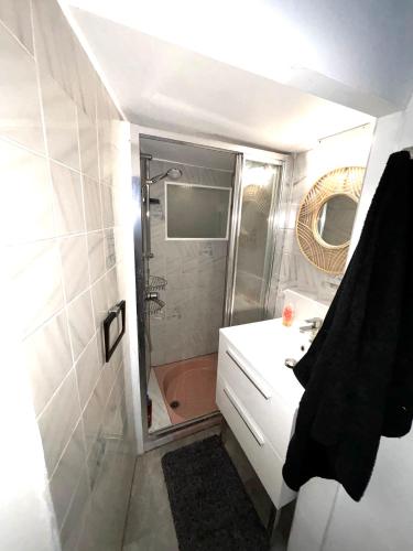 La petite salle de bains est pourvue d'une douche et d'un lavabo. dans l'établissement Joli cocon Montmartre, à Paris