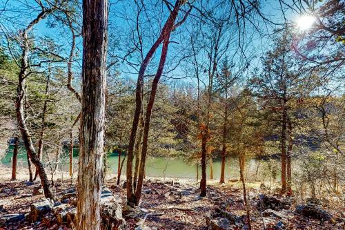 a forest of trees with a lake in the background at The Cove - Main House in Golden