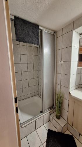 een kleine badkamer met een douche en een wastafel bij Haus Westharz Clausthal in Bad Grund