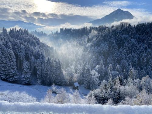 a forest with snow covered trees and a mountain at Wohnung Staufenblick und Wohnung Firstblick in Dornbirn