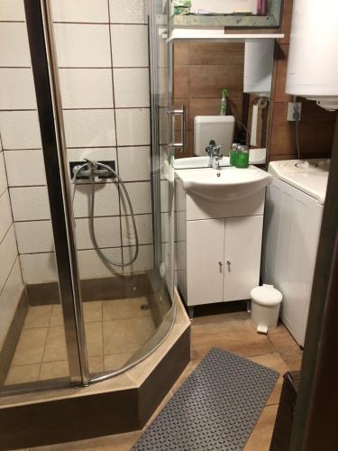 a small bathroom with a shower and a sink at Kékház Apartman in Esztergom