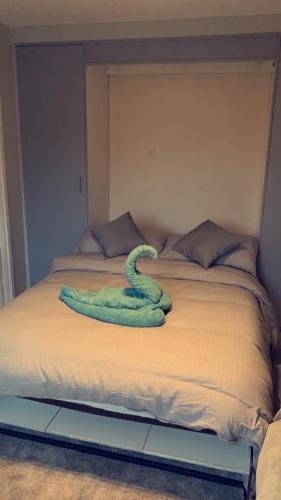 a green snake laying on top of a bed at Southampton centre - 1 bed studio flat in Southampton