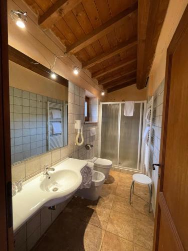 a bathroom with a sink and a toilet at La Casella antico feudo di campagna in Ficulle