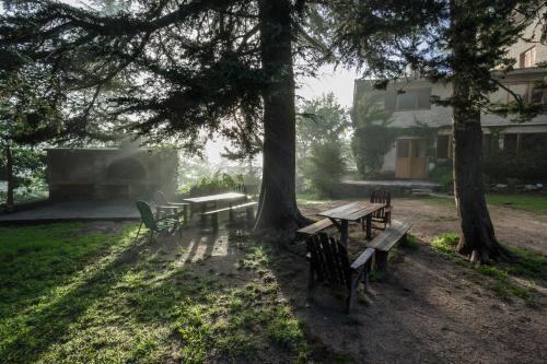 a group of tables and benches in a park with trees at Hotel Las Cascadas in La Cumbrecita