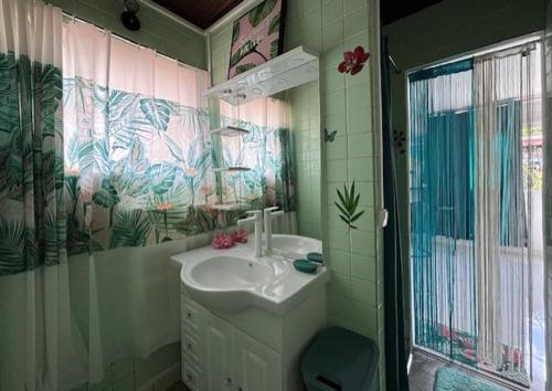 ein Bad mit einem Waschbecken, einem Spiegel und einer Dusche in der Unterkunft Spacieux haut de villa avec terrasse et jardin in Les Abymes