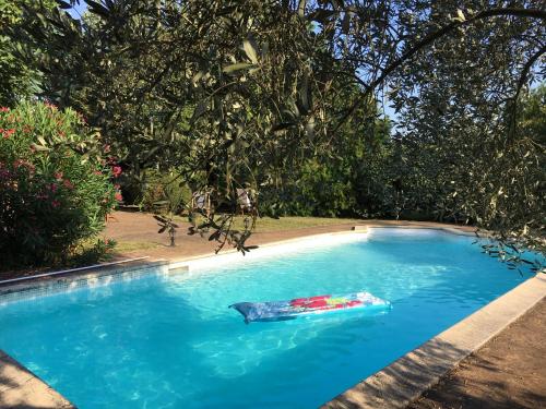 Mulberry House – Photos 3