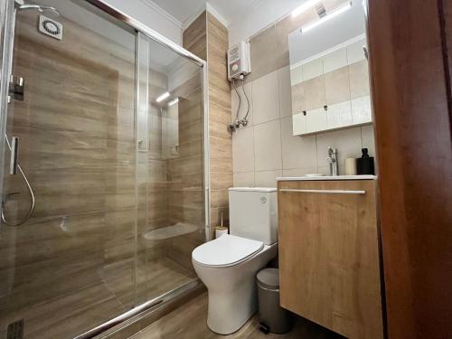 テッサロニキにあるGreat View Luxury Livingのバスルーム(トイレ、ガラス張りのシャワー付)