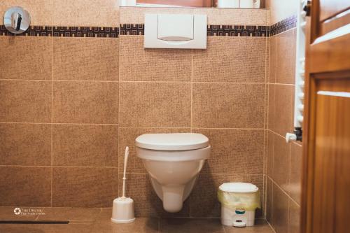 a bathroom with a white toilet in a room at Pensiunea Colt de Rai Cean 